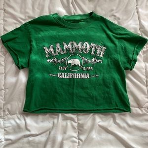 Mammoth top
